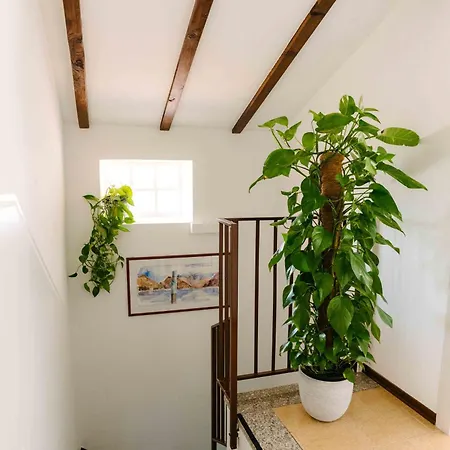 Bed and breakfast Spina 4*